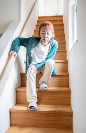 ※写真はイメージです