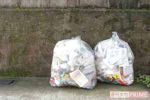 家庭用ごみ（写真はイメージです）　撮影／編集部