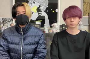 『今回のみっき〜の騒動についての処遇』というタイトルで動画をアップしたヒカル