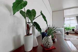 以前は大きな家具ばかりだったが、今は自分の背より低い小さな家具だけにしてコンパクトに暮らす