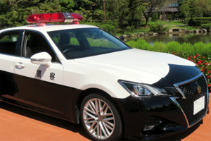 ※画像はイメージです