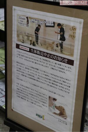 生体販売の中止を店内でも告知。ペット用品などの販売に力を入れている