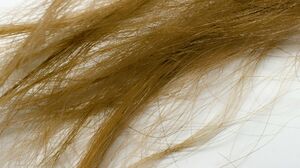 あなたは1日、何回髪の毛を洗いますか