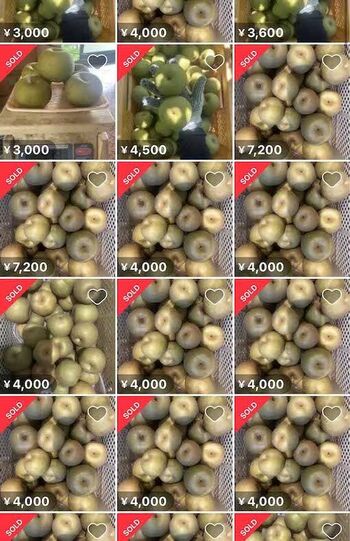 ネット上で拡散された、福岡県産の梨を大量に出品しているメルカリアカウント（Xより）