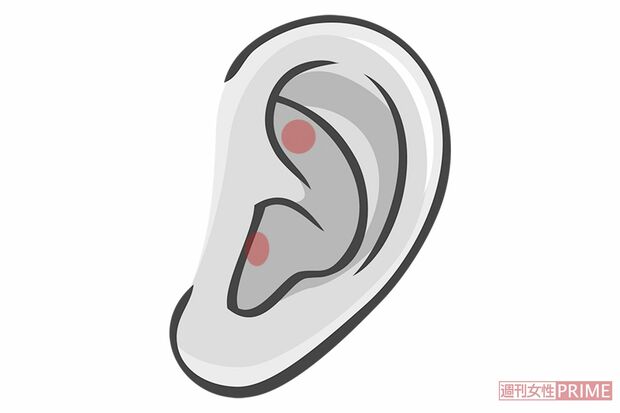 クリエイター型