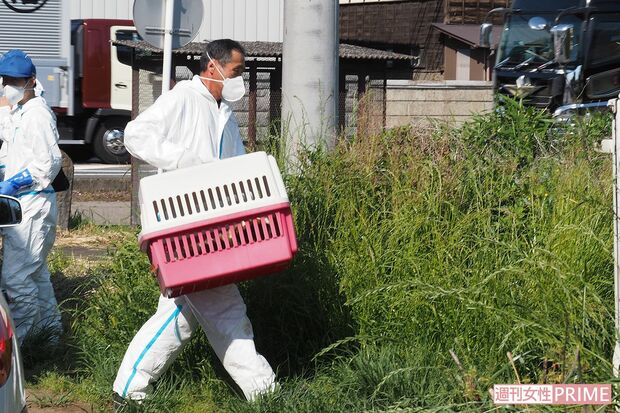 県の職員や捜査員は動物たちをケージに入れて施設内から運び出していた（23日）