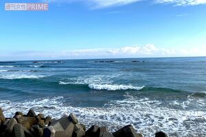 大好きな海へ毎週通う。片道3時間かかっても苦ではないという。