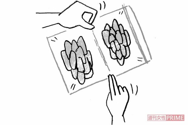 【鶏むね肉・ささみ】蒸し鶏にして汁と一緒に冷凍すればずっとジューシー　イラスト/やのひろこ