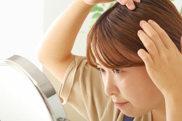 ※写真はイメージです