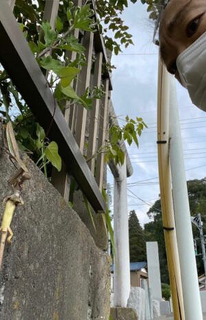 カマキリを見つめる香川照之（本人のインスタグラムより）