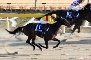 2019年2月、コパノキッキングに騎乗して第36回フェブラリーステークス(G1)に出場した藤田菜七子