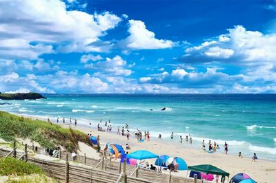 ※画像はイメージです