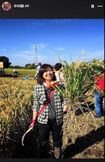 小川晶前橋市長。農業を行う姿も（FaceBookより）