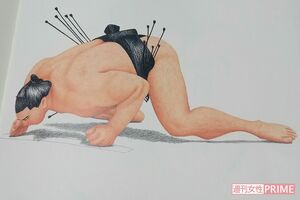 身体を低く仕切るのが、日馬富士の個性だった