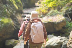 ※写真はイメージです