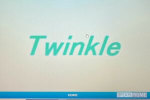 今回のケース。会員制登録サイト内のチャットやEメールで詐欺師とやりとりした