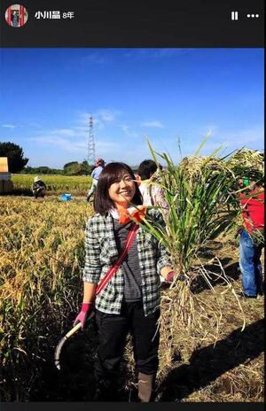 小川晶前橋市長。農業を行う姿も（FaceBookより）