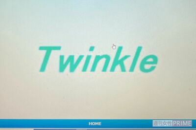 今回のケース。会員制登録サイト内のチャットやEメールで詐欺師とやりとりした