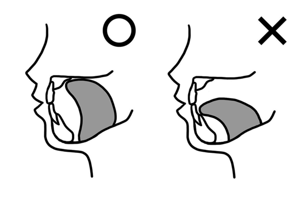 口を閉じたとき、舌が上顎（口蓋）にくっつき、舌の先端が上の前歯の根元より少し内側（のど側）についているのが正しい位置
