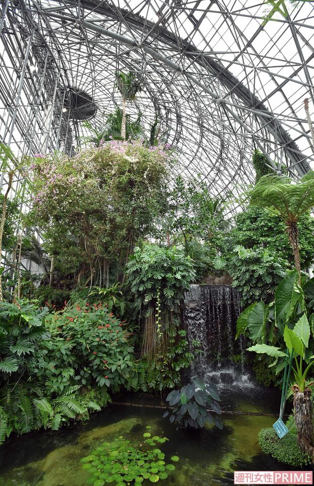 ドーム天井にまで届く樹木に、滝が流れる水辺と非日常のエキゾチック空間　撮影／渡邉智裕