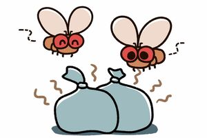 生ゴミの臭いを抑えられるゴミ袋も売られているので、臭いがひどくなりやすい夏場に試してみるのもおすすめだ ※画像はイメージです