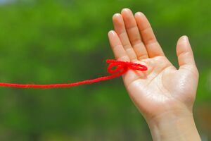 写真はイメージです