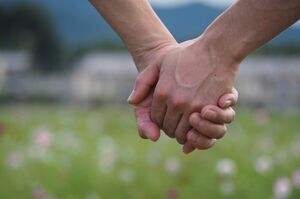 写真はイメージ