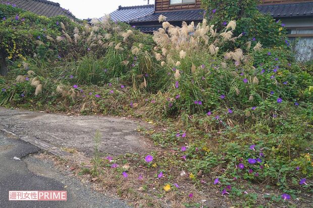 容疑者の実家を訪ねると、家はなく空き地になっていた