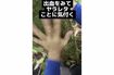 熊に噛まれた瞬間は痛みを感じなかったというが太ももと腕を負傷(YouTubeチャンネルより)