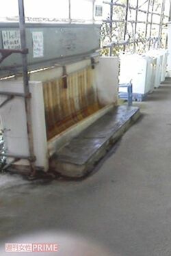 無料宿泊所Bのトイレ(Aさん提供)。屋外にしかないトイレは個別の小便器もなく、コンクリートの壁があるだけ
