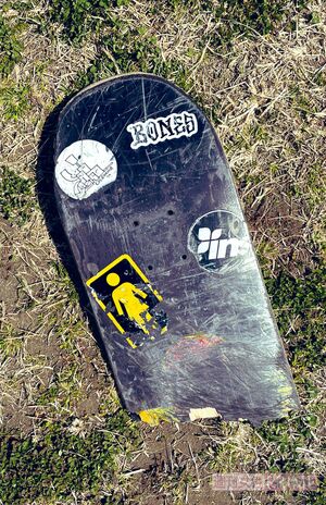 豊洲ゴミ拾いでたびたび発見されるスケボー(三戸区議、撮影・提供)