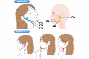 【唾液腺の場所】耳下腺は耳と奥歯の間、顎下腺は左右のあごの骨の内側の柔らかい部分、舌下腺は下あごのくぼみ部分。指で軽く圧迫してマッサージすることで、唾液の分泌を促すことができる