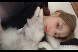 内田理央と愛猫（@rio_uchidaより）