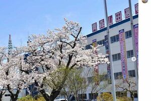 サッカーや野球をはじめ、運動部が盛んな青森山田高校(公式インスタグラムより)