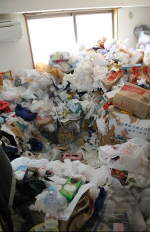 女性住人の汚部屋の例