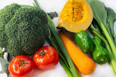 ※写真はイメージです