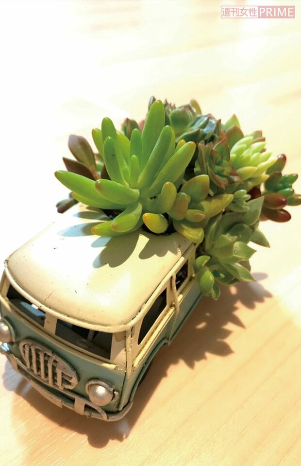 ブリキの車に穴をあけ、多肉をIN　