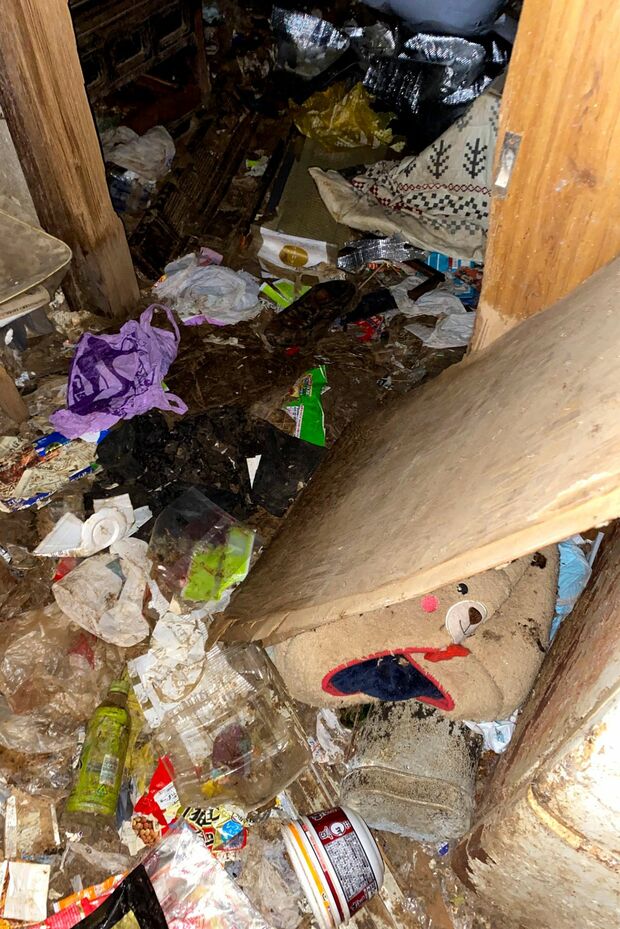 不衛生な環境は病気になってもおかしくない（動物虐待インターベンション提供）