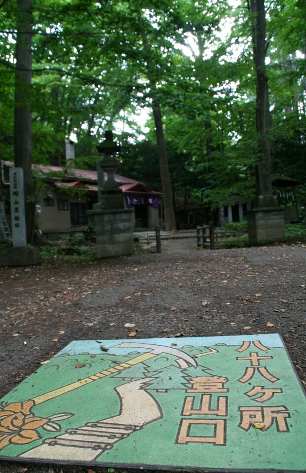 円山公園（北海道札幌市中央区宮ケ丘）／アクセス：札幌市営地下鉄東西線円山公園駅から徒歩10分／所要時間：約40分