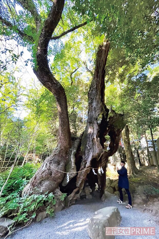 來宮神社 @静岡県熱海市西山町