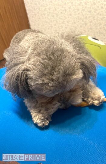 喜んだのもつかの間……。茶子ちゃんにすっかり占領されました（涙）