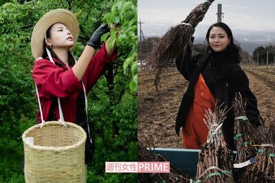 梅の実の収穫や、ぶどう畑など、いろんな野菜、果物の育て方を学ぶ武藤千春さん