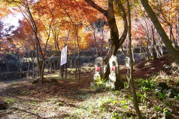 矢田寺大門坊（奈良県大和郡山市矢田町3506）／アクセス：近鉄郡山駅より奈良交通バス「矢田寺前」行き20分、終点下車すぐ／所要時間：約90分