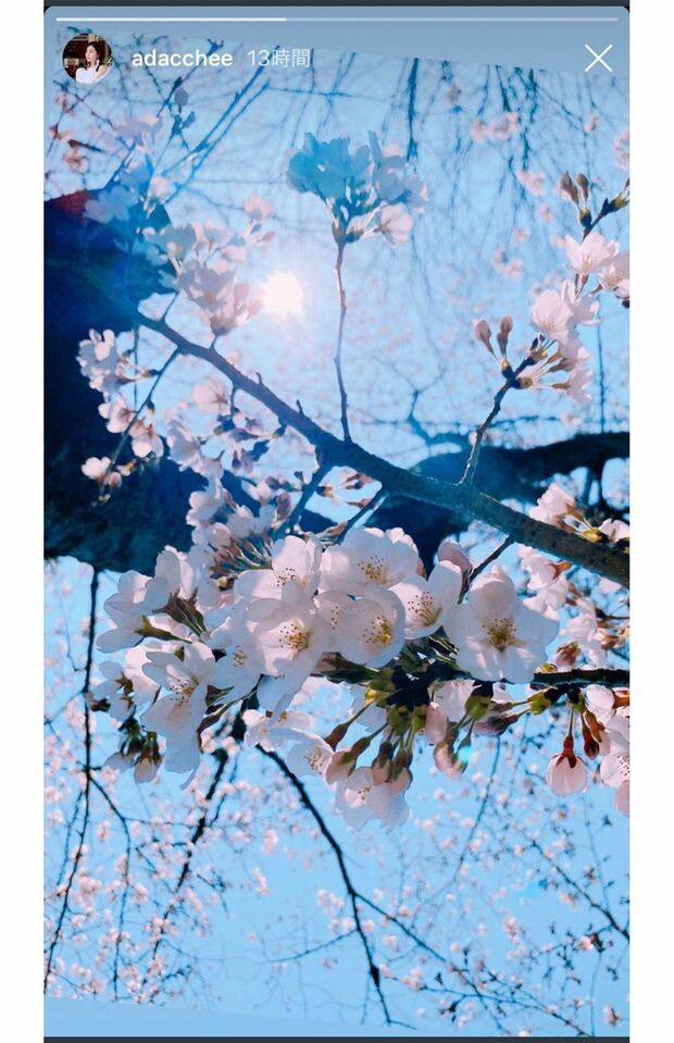 疑惑のインスタストーリー（ツイッターより）