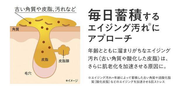 ESS ONLINE SHOP公式サイトより（https://www.papawash.com/item/101100）