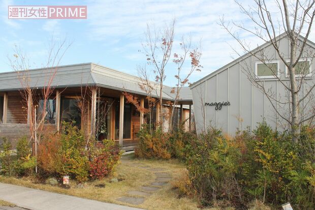 豊洲の運河沿いに佇む「マギーズ東京」。平屋の2棟が並び、室内からは常に中庭を眺められるようになっている