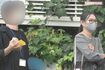 ギャル曽根とテレビ業界で働く夫