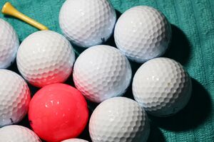 写真はイメージです