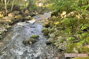 小川のせせらぎと自然で、身も心もチャージしてきました