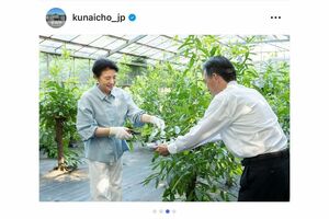 7月9日、雅子さまが皇居内の紅葉山御養蚕所で繭を収穫するご様子(宮内庁のインスタグラム)